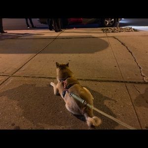 Meet your Posher, Chloe